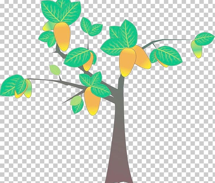 Mango PNG, Clipart, Adobe Illustrator, Branch, Cdr, Encapsulated Postscript, Family Tree Free PNG Download