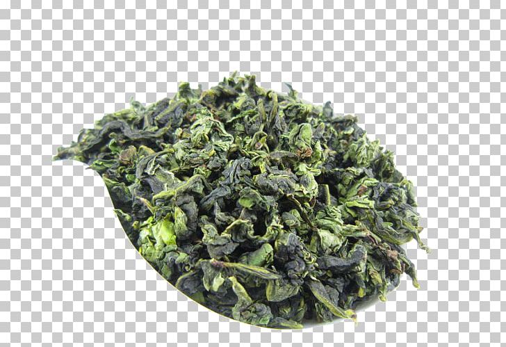 Anxi County Green Tea Tieguanyin Oolong PNG, Clipart, Anxi County, Aroma, Biluochun, Black Tea, Bow Tie Free PNG Download