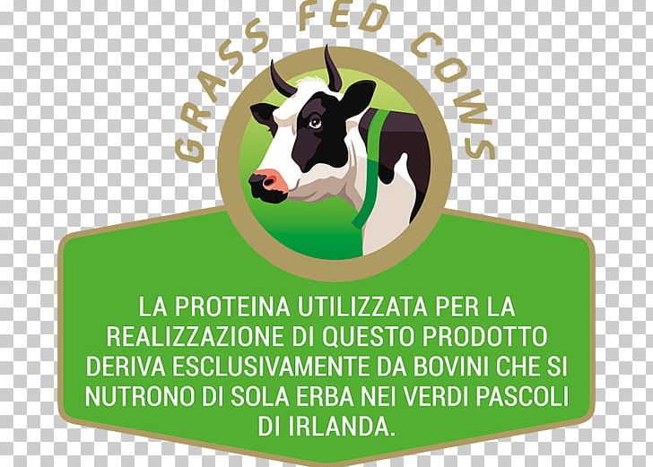 Dairy Cattle Milk Protein Concentrate Hydrolyzed Protein PNG, Clipart, Brand, Cattle, Cattle Like Mammal, Cocktail Shaker, Cow Goat Family Free PNG Download