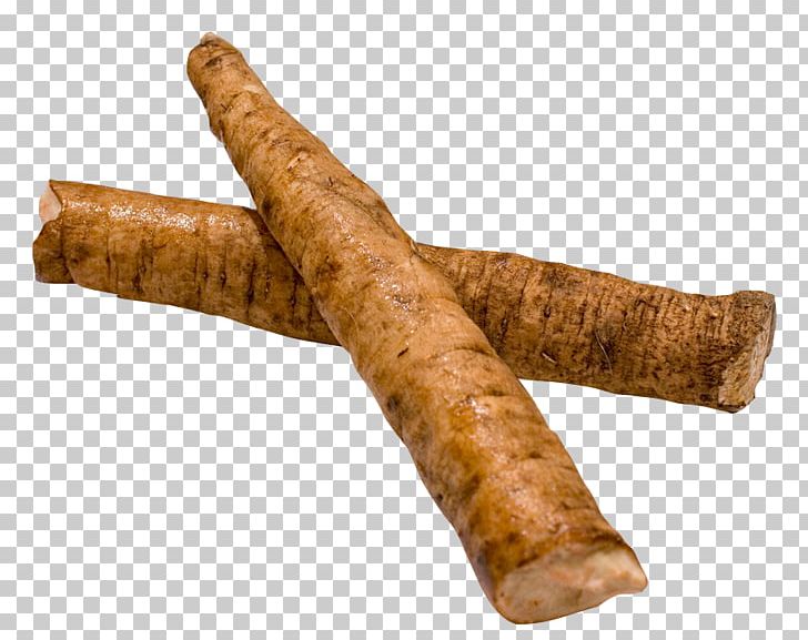 Greater Burdock Root Therapy Disease Plant PNG, Clipart, Burdock, Burdock Root, Choline, Disease, Eating Free PNG Download