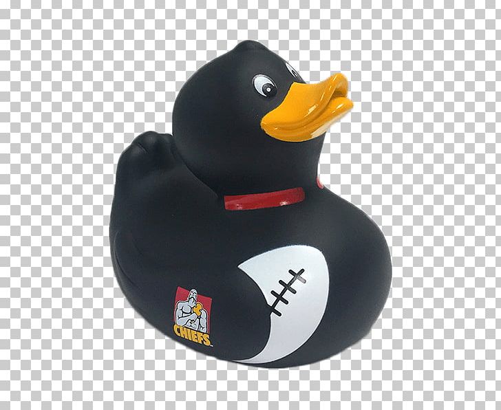 New Zealand National Rugby Union Team Highlanders Crusaders Super Rugby Duck PNG, Clipart, Animals, Basketball, Beak, Bird, Com Free PNG Download