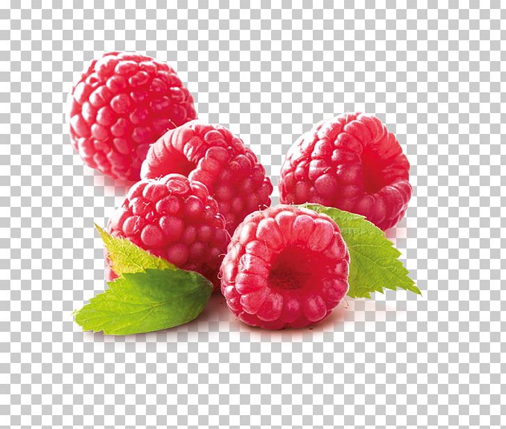 Raspberry Loganberry Yoghurt Tayberry Smoothie PNG, Clipart, Auglis, Berry, Blackberry, Cranberry, Food Free PNG Download