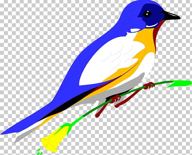 Bird PNG, Clipart, Animation, Art, Artwork, Beak, Bird Free PNG Download