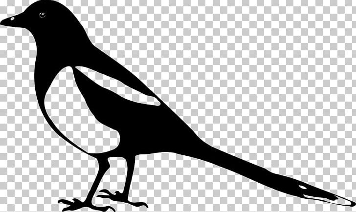 Eurasian Magpie Silhouette PNG, Clipart, Animals, Animal Silhouettes, Art, Artwork, Beak Free PNG Download