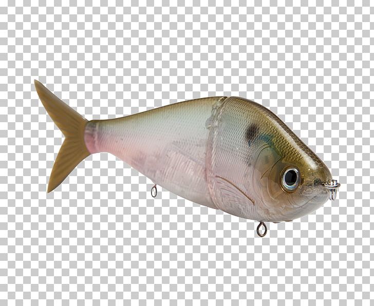 Plug Swimbait Fishing Baits & Lures Spoon Lure Fishing Tackle PNG, Clipart, American Shad, Bait, Bluegill, Bony Fish, Crappie Free PNG Download