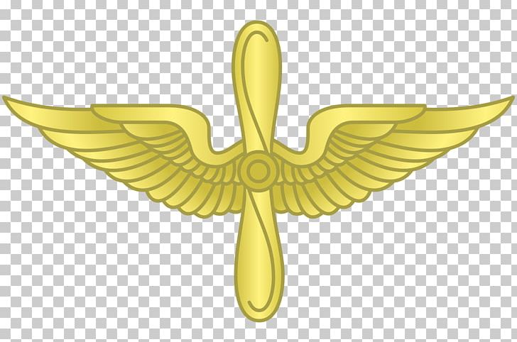 United States Army Air Forces Military United States Army Aviation Branch PNG, Clipart, Air Defense Artillery Branch, Miscellaneous, Organism, Parachutist Badge, Pollinator Free PNG Download