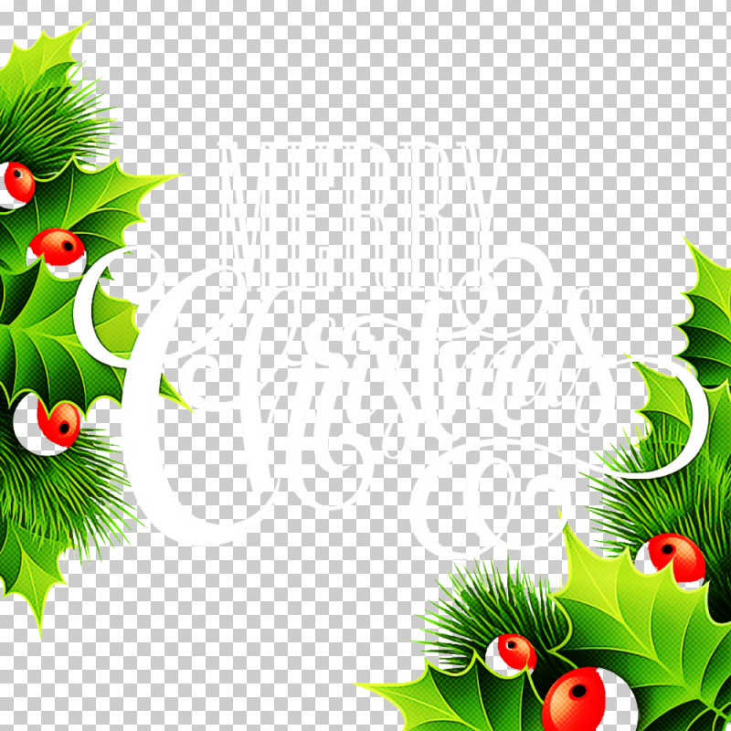 Christmas Decoration PNG, Clipart, Branch, Christmas Decoration, Flower, Holly, Leaf Free PNG Download