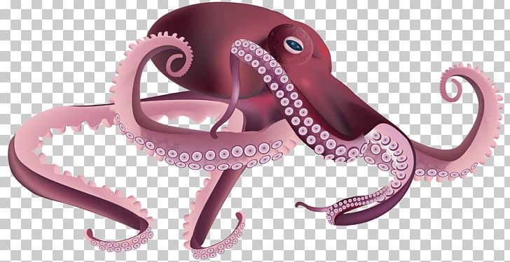 Octopus Squid PNG, Clipart, Animation, Blueringed Octopus, Cephalopod, Clip Art, Clipart Free PNG Download