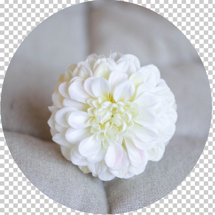 Petal Cut Flowers Email Pruning PNG, Clipart, Clavel, Com, Cut Flowers, Email, Facebook Free PNG Download