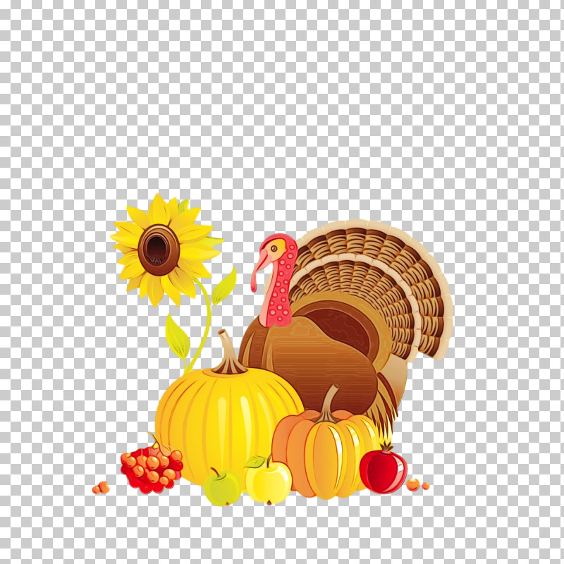 Thanksgiving PNG, Clipart, Autumn, Biology, Flower, Fruit, Harvest Free PNG Download