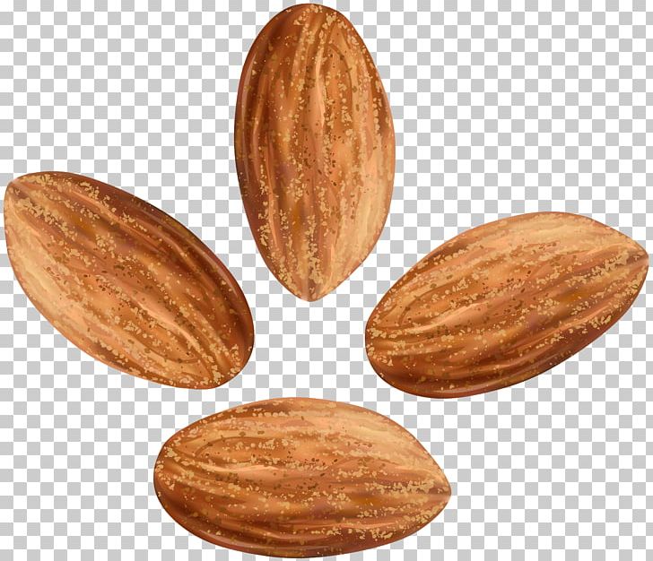 Nut PNG, Clipart, Almond, Almond Nut, Art, Art Museum, Cartoon Free PNG Download