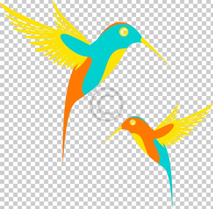 Hummingbird PNG