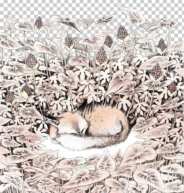 IPhone 6s Plus IPhone 6 Plus Hedgehog Hibernation PNG, Clipart, Animals, Clever, Cunning, Erinaceidae, Forest Free PNG Download