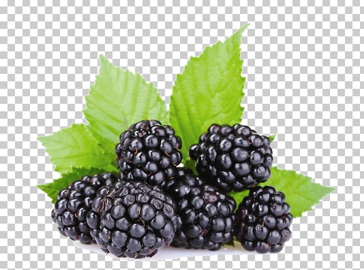 Oil Marmalade Pekmez Red Mulberry Boysenberry PNG, Clipart, Bilberry, Blackberry, Blueberry, Bottle, Food Free PNG Download