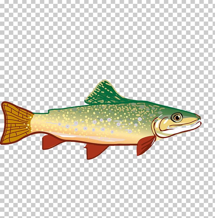 Rainbow Trout PNG, Clipart, Animals, Bony Fish, Brown Trout, Cartoon, Cutthroat Trout Free PNG Download