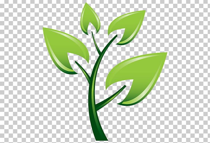 Tree Planting Sowing Nursery PNG, Clipart, Arbor Day, Boce, Clip Art, Cutting, Flora Free PNG Download