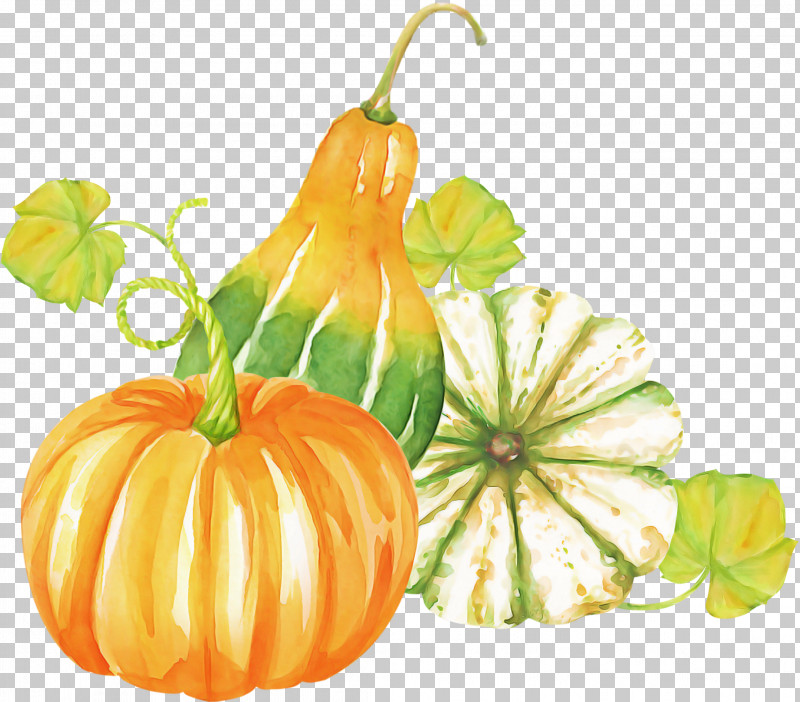 Pumpkin PNG, Clipart, Calabash, Calabaza, Cucurbita, Flower, Food Free PNG Download