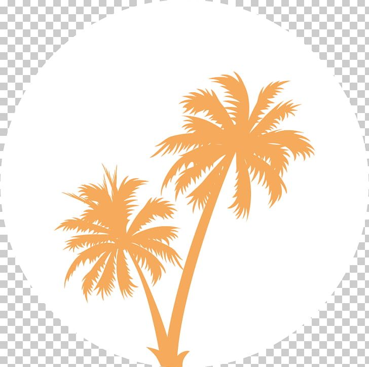 Arecaceae Silhouette PNG, Clipart, Animals, Arecaceae, Arecales, Branch, Flower Free PNG Download