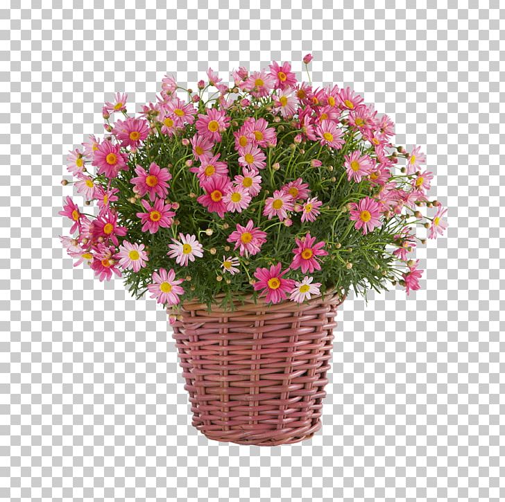 Floral Design Blume Garden Cut Flowers Flowerpot PNG, Clipart, Alstroemeriaceae, Annual Plant, Artificial Flower, Blume, Blume2000de Free PNG Download