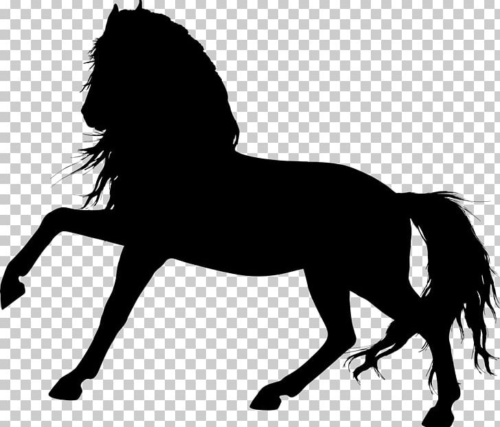 Horse Pony Silhouette PNG, Clipart, Animals, Black, Colt, Download, English Riding Free PNG Download
