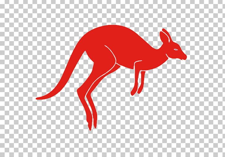 Kangaroo Dog Canidae Snout PNG, Clipart, Animal, Animal Figure, Animals, Canidae, Carnivoran Free PNG Download