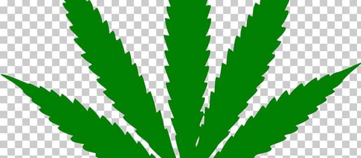 Medical Cannabis 420 Day Leaf Dispensary PNG, Clipart, 420 Day, Cannabis, Cannabis Smoking, Decal, Dispensary Free PNG Download