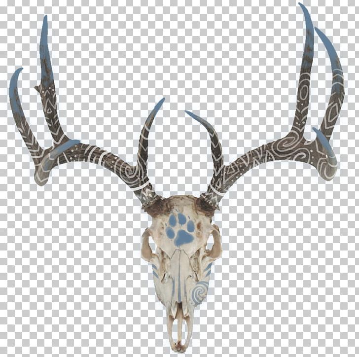White-tailed Deer Red Deer Antler Deer Hunting PNG, Clipart, Animals, Antelope, Antler, Body Jewelry, Bowhunting Free PNG Download