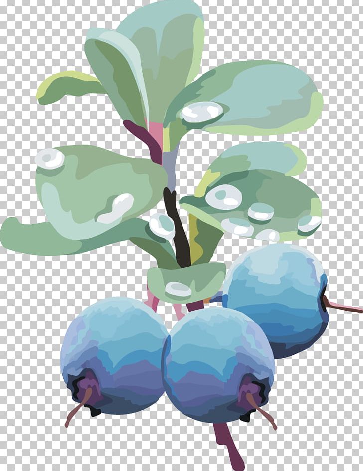 Blueberry Euclidean PNG, Clipart, Branch, Cherries, Cherry, Chinese Lantern, Flower Free PNG Download