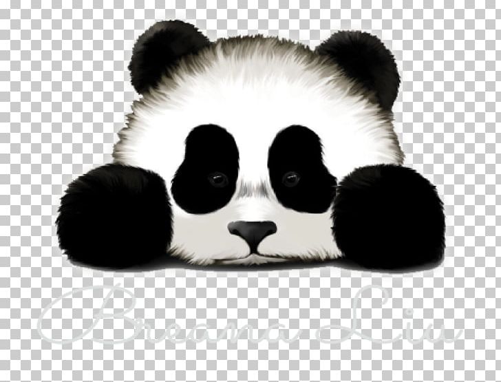 Giant Panda Sadness Cuteness T-shirt Drawing PNG, Clipart, Animals, Art, Bear, Carnivoran, Cuteness Free PNG Download
