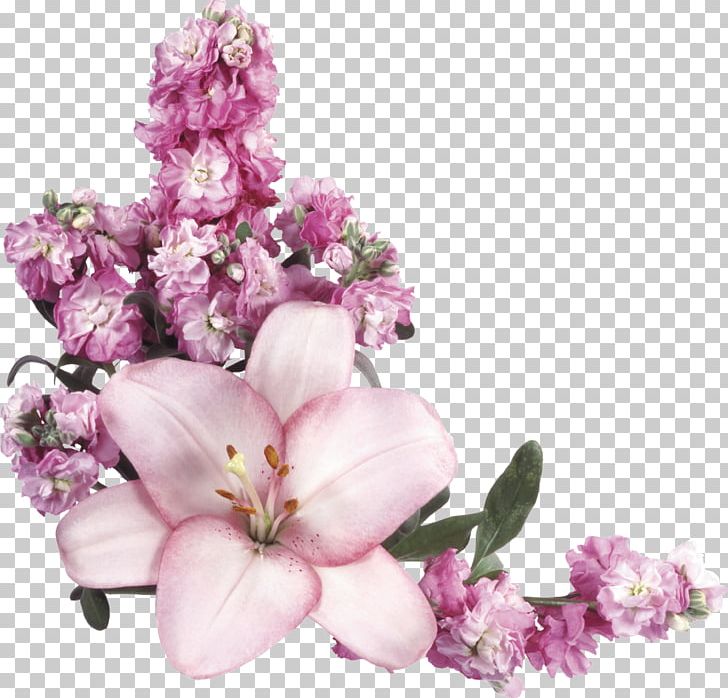 Pink Flowers PNG, Clipart, Blossom, Branch, Cherry Blossom, Clip Art, Cut Flowers Free PNG Download