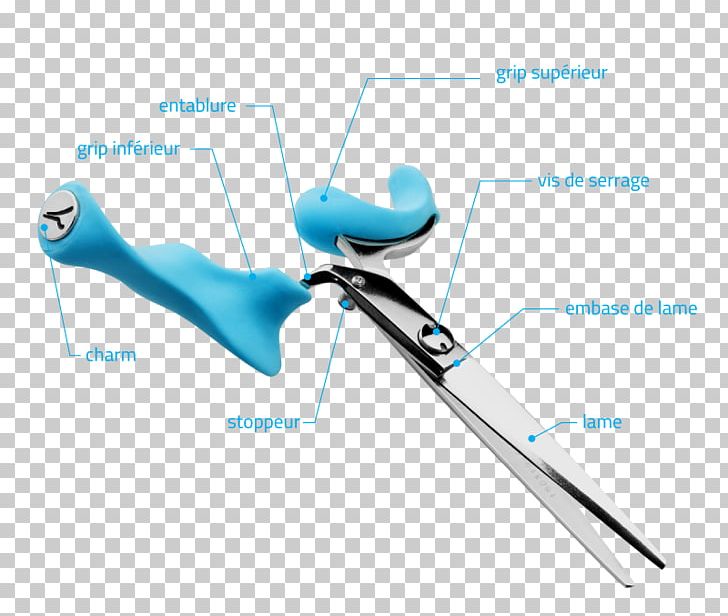 Scissors Hair-cutting Shears Chisel Cosmetologist Comb PNG, Clipart, Angle, Chisel, Comb, Cosmetologist, Faq Free PNG Download