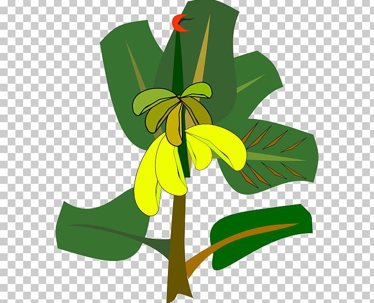 Banana Tree PNG, Clipart, Banana, Banana Images, Banana Leaf, Banana Peel, Banana Plantation Free PNG Download