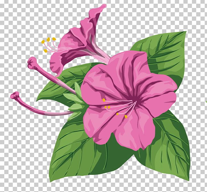 Ipomoea Nil Flower Purple Hibiscus PNG, Clipart, Annual Plant, Color, Flora, Flower, Flowering Plant Free PNG Download