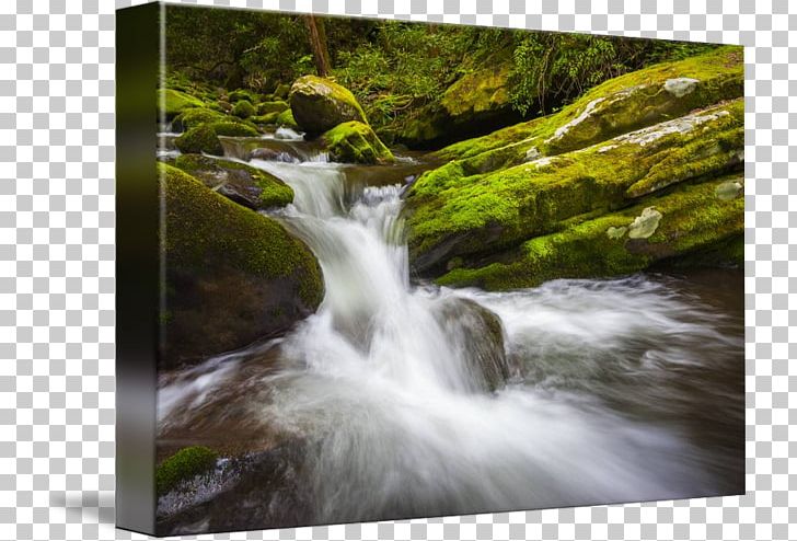 Roaring Fork Road Laurel Falls Trail National Park PNG, Clipart, Body Of Water, Chute, Creek, Gatlinburg, Great Smoky Mountains Free PNG Download