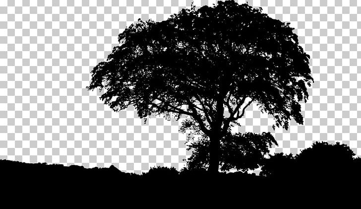 Silhouette Landscape Nature Drawing PNG, Clipart, Animals, Black And White, Branch, Computer Wallpaper, Drawing Free PNG Download