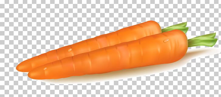 Baby Carrot Vegetable PNG, Clipart, Adobe Illustrator, Baby Carrot, Bockwurst, Bunch Of Carrots, Carro Free PNG Download