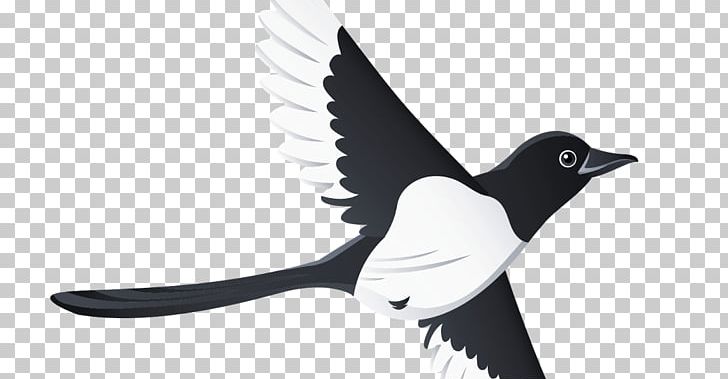 Bird Beak Swallow Tattoo PNG, Clipart,  Free PNG Download