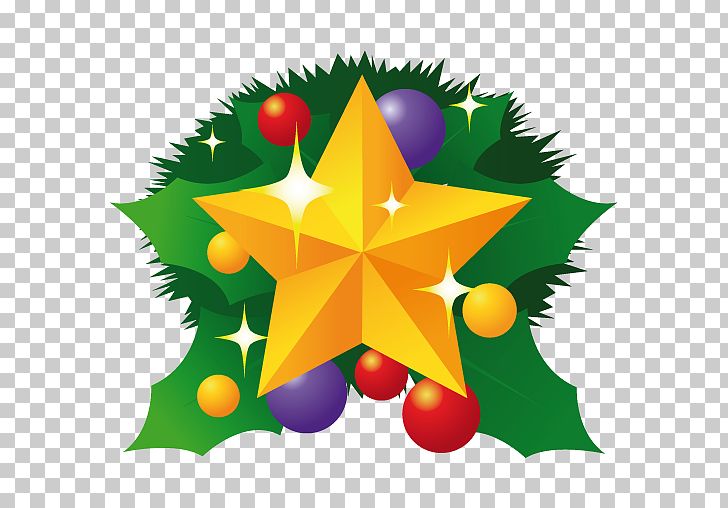 Pine Family Christmas Ornament Leaf Symmetry Tree PNG, Clipart, Christmas, Christmas And Holiday Season, Christmas Decoration, Christmas Ornament, Christmas Star Free PNG Download