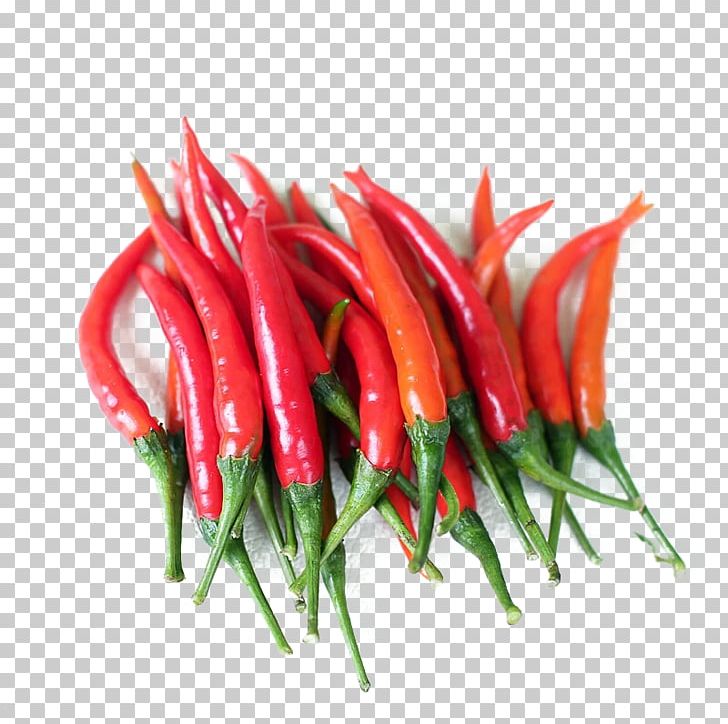 Birds Eye Chili Serrano Pepper Chile De Xe1rbol Piquillo Pepper Cayenne Pepper PNG, Clipart, Bell Pepper, Bell Peppers And Chili Peppers, Cayenne, Chili Pepper, Food Free PNG Download