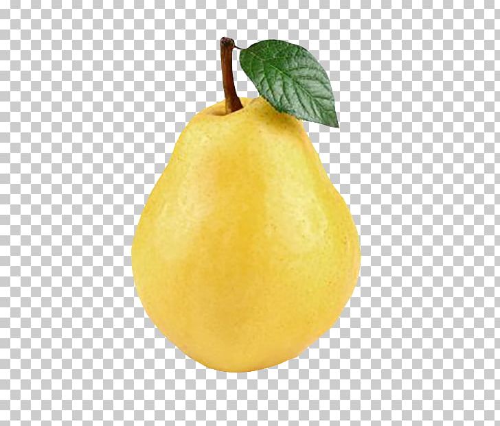 Citron Pear Lemon PNG, Clipart, Autumn Leaves, Banana Leaves, Citric Acid, Citrus, Citrus Junos Free PNG Download