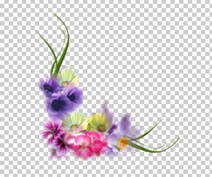 Floral Design Frames Flower .net PNG, Clipart, Artiste De Fleurs, Com, Computer Wallpaper, Desktop Wallpaper, Flora Free PNG Download