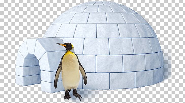 Igloo King Penguin PNG, Clipart, Beak, Bird, Emperor Penguin, Fauna, Flightless Bird Free PNG Download
