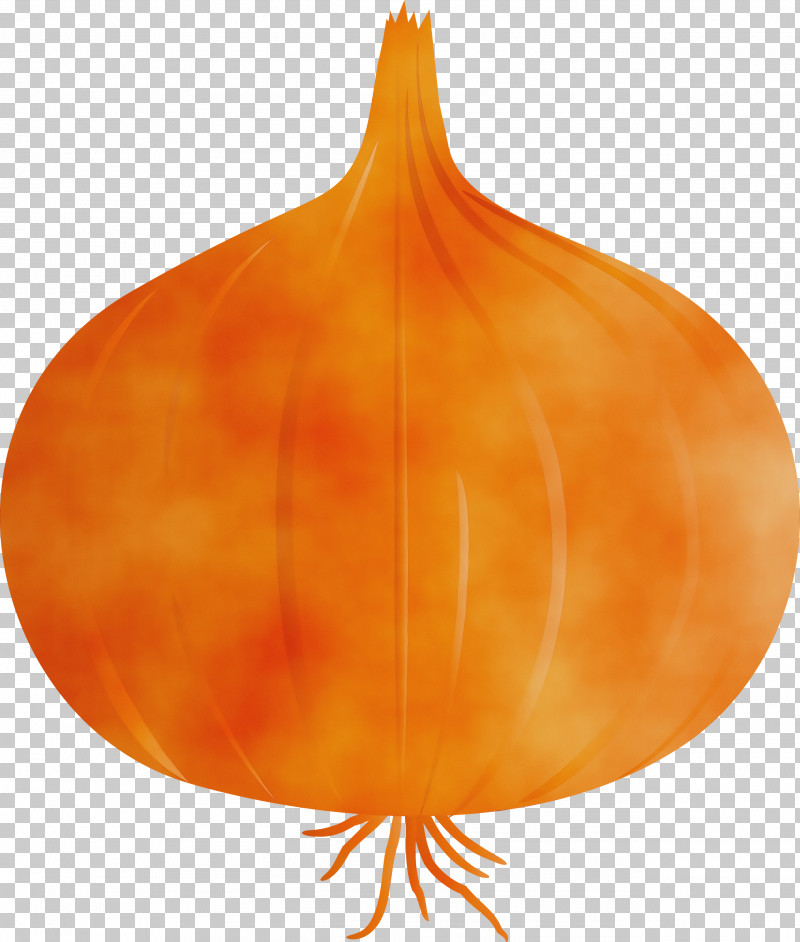 Pumpkin PNG, Clipart, Fruit, Onion, Paint, Pumpkin, Squash Free PNG Download