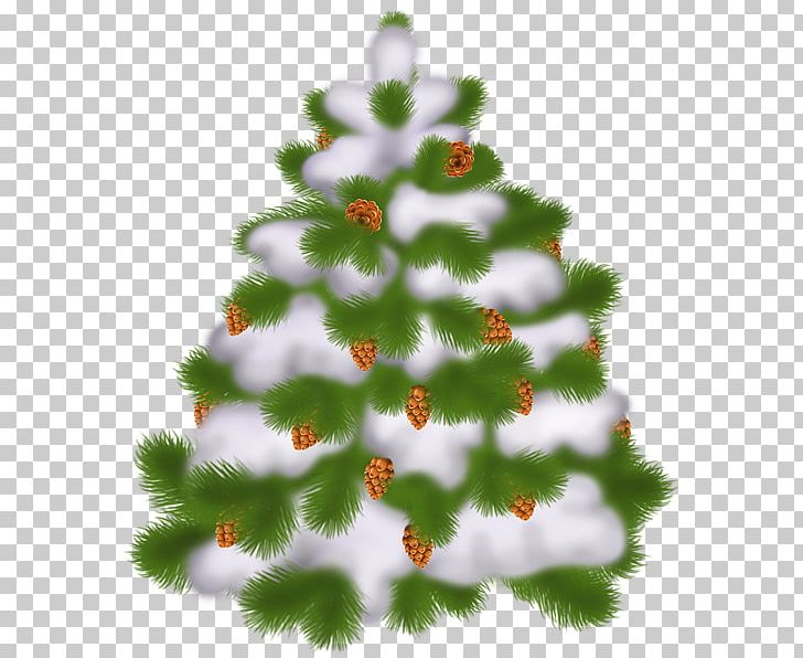 Christmas Tree Christmas Ornament PNG, Clipart, Autumn Leaf Color, Bombka, Branch, Christmas, Christmas Decoration Free PNG Download