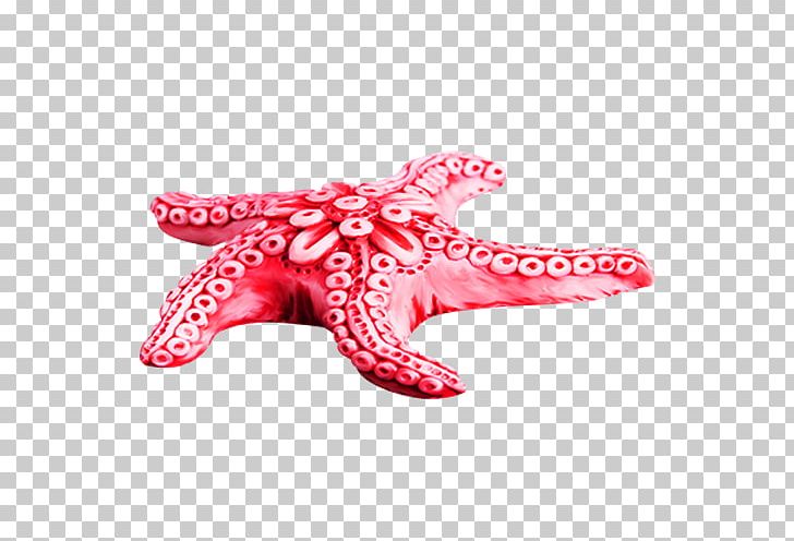 Starfish PNG, Clipart, Animals, Computer Graphics, Creative, Creative Starfish, Decoration Free PNG Download