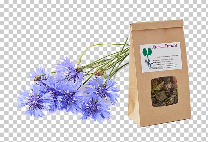 Herb Lavender Gift PNG, Clipart, Centaurea Cyanus, Flora, Flower, Gift, Herb Free PNG Download