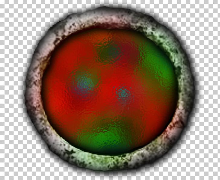 Thrombocytopenia Platelet Eye Child Organism PNG, Clipart, 2 E, Adult, Child, Circle, Closeup Free PNG Download