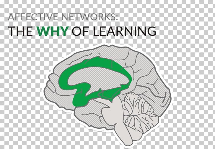 Universal Design For Learning Education Brain Teacher PNG, Clipart, Area, Bone, Brain, Curriculum, Diagram Free PNG Download