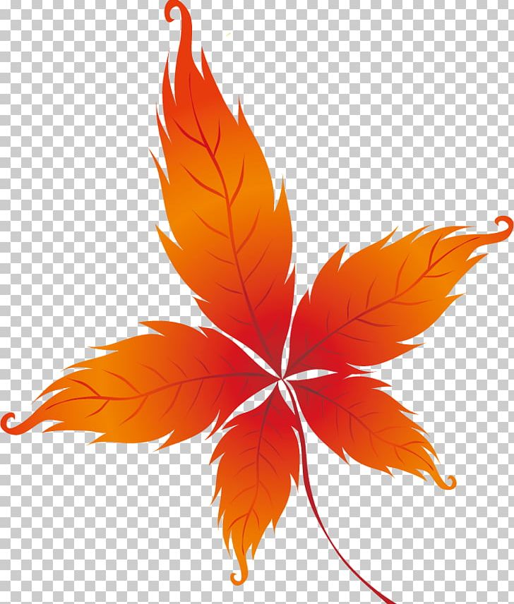 Vector Fall Leaves Silhouette Outline Drawing Stock Vector - Illustration  of background, education: 215684689