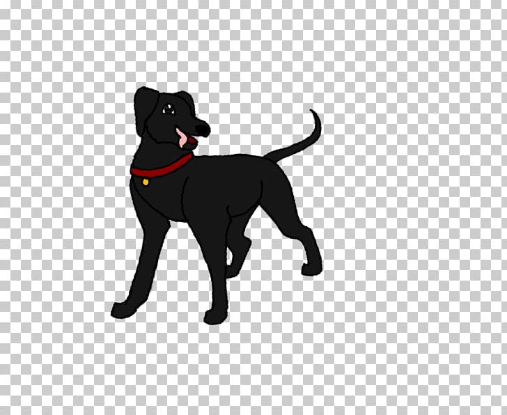 Labrador Retriever Cat Puppy Dog Breed Leash PNG, Clipart, Animals, Black, Breed, Carnivoran, Cat Free PNG Download